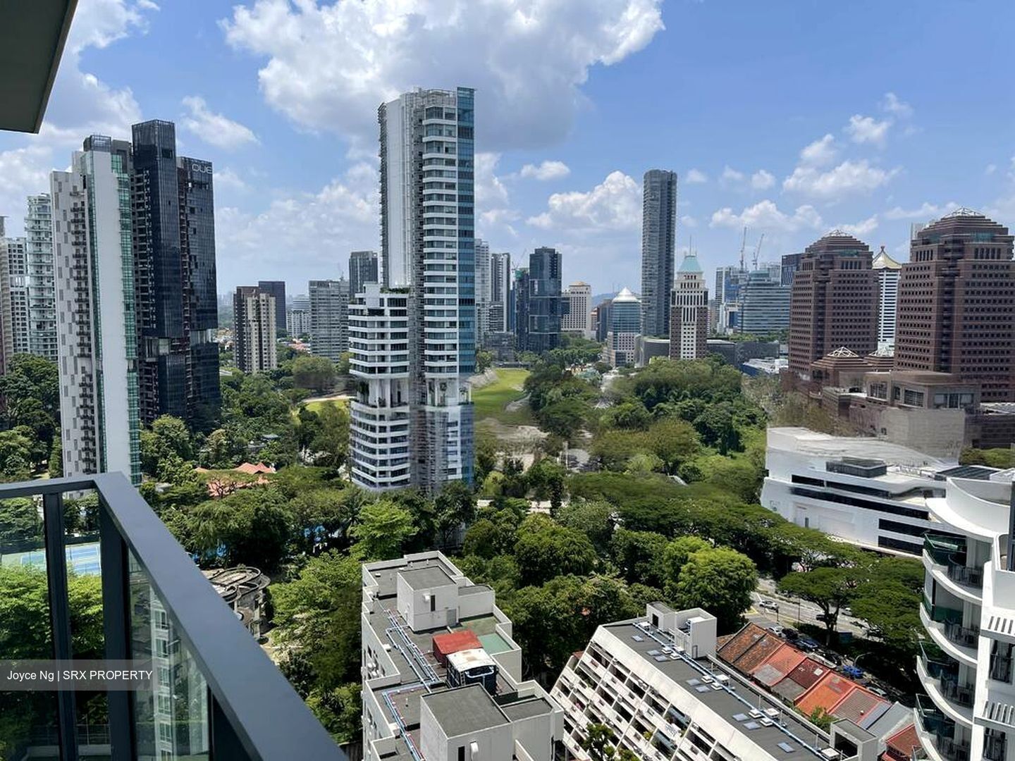 The Suites At Central (D9), Condominium #458116551